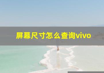 屏幕尺寸怎么查询vivo