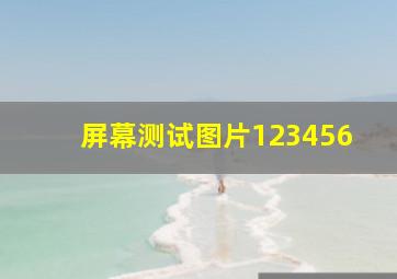 屏幕测试图片123456