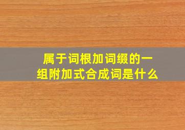 属于词根加词缀的一组附加式合成词是什么