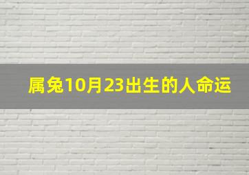 属兔10月23出生的人命运