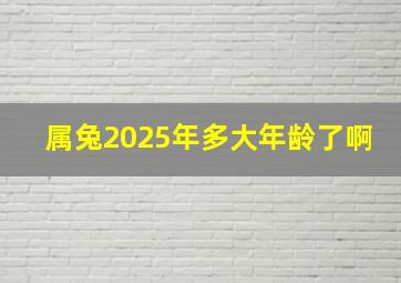 属兔2025年多大年龄了啊