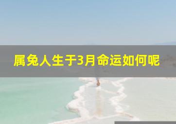 属兔人生于3月命运如何呢