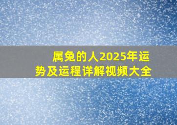 属兔的人2025年运势及运程详解视频大全