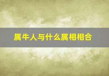 属牛人与什么属相相合