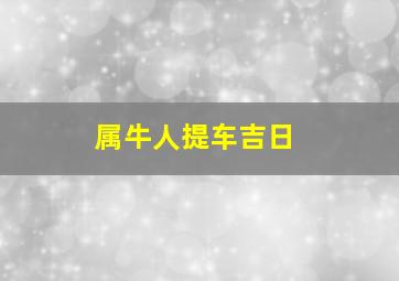 属牛人提车吉日