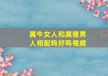 属牛女人和属猪男人相配吗好吗视频