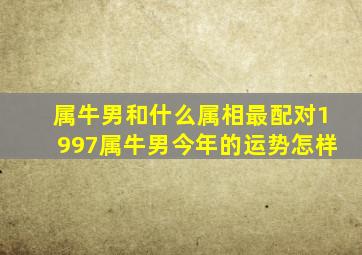 属牛男和什么属相最配对1997属牛男今年的运势怎样