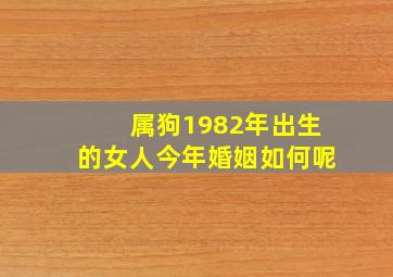 属狗1982年出生的女人今年婚姻如何呢