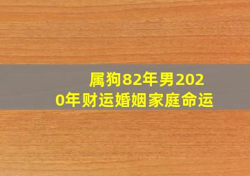 属狗82年男2020年财运婚姻家庭命运