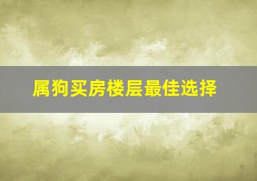 属狗买房楼层最佳选择