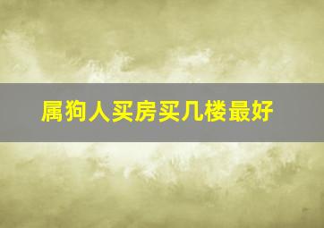 属狗人买房买几楼最好