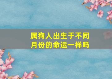 属狗人出生于不同月份的命运一样吗