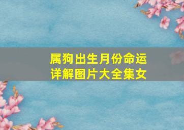 属狗出生月份命运详解图片大全集女