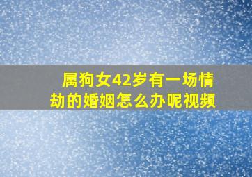 属狗女42岁有一场情劫的婚姻怎么办呢视频