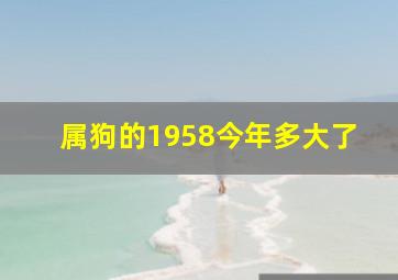 属狗的1958今年多大了