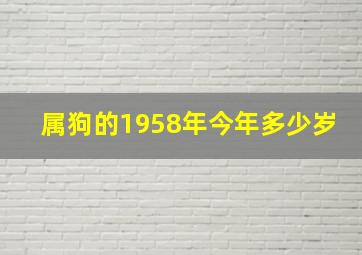 属狗的1958年今年多少岁