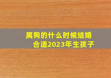 属狗的什么时候结婚合适2023年生孩子