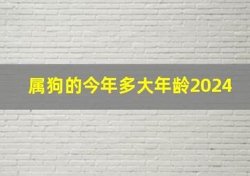 属狗的今年多大年龄2024