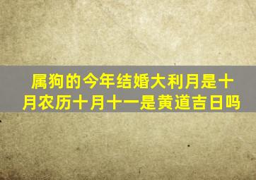 属狗的今年结婚大利月是十月农历十月十一是黄道吉日吗