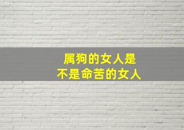 属狗的女人是不是命苦的女人