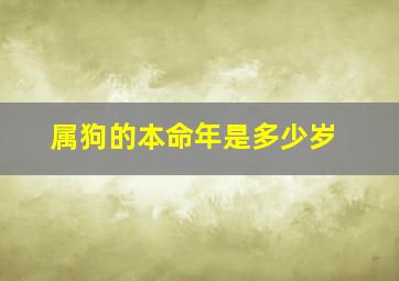 属狗的本命年是多少岁