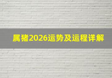 属猪2026运势及运程详解