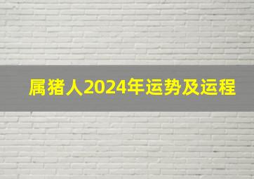 属猪人2024年运势及运程