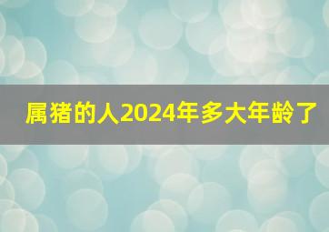 属猪的人2024年多大年龄了