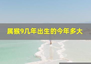 属猴9几年出生的今年多大