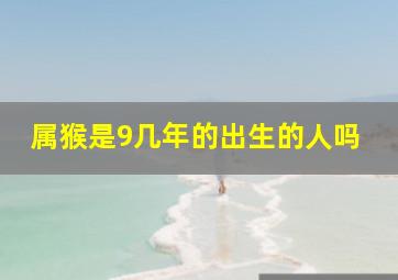 属猴是9几年的出生的人吗