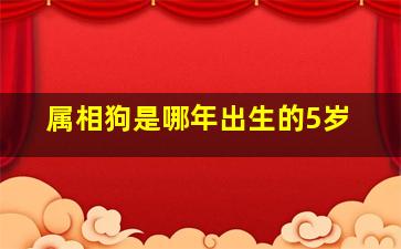 属相狗是哪年出生的5岁