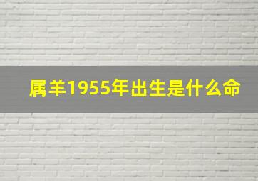 属羊1955年出生是什么命