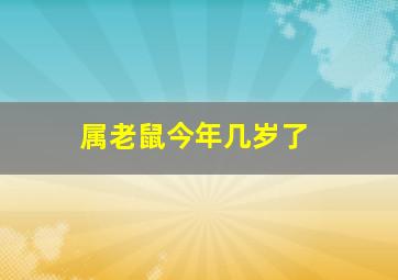 属老鼠今年几岁了