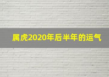 属虎2020年后半年的运气