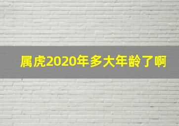 属虎2020年多大年龄了啊