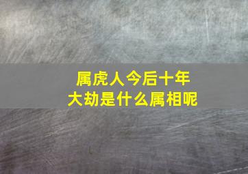 属虎人今后十年大劫是什么属相呢