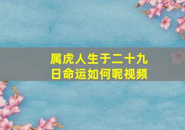 属虎人生于二十九日命运如何呢视频