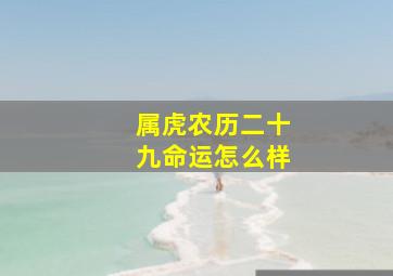 属虎农历二十九命运怎么样