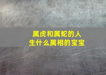 属虎和属蛇的人生什么属相的宝宝