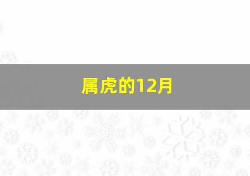 属虎的12月