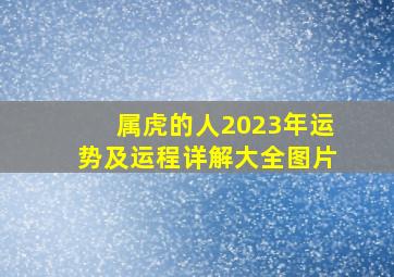 属虎的人2023年运势及运程详解大全图片