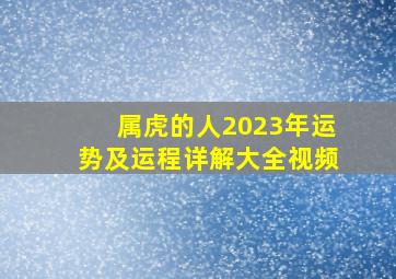 属虎的人2023年运势及运程详解大全视频