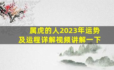 属虎的人2023年运势及运程详解视频讲解一下