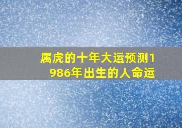 属虎的十年大运预测1986年出生的人命运