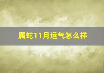 属蛇11月运气怎么样