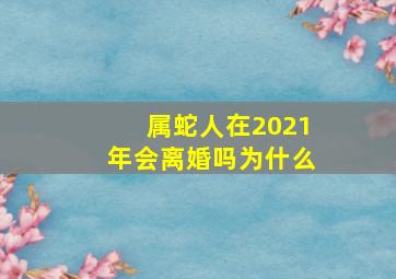 属蛇人在2021年会离婚吗为什么