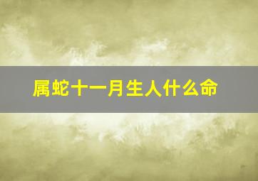 属蛇十一月生人什么命