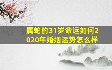 属蛇的31岁命运如何2020年婚姻运势怎么样