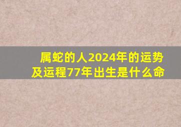 属蛇的人2024年的运势及运程77年出生是什么命