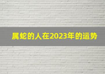 属蛇的人在2023年的运势